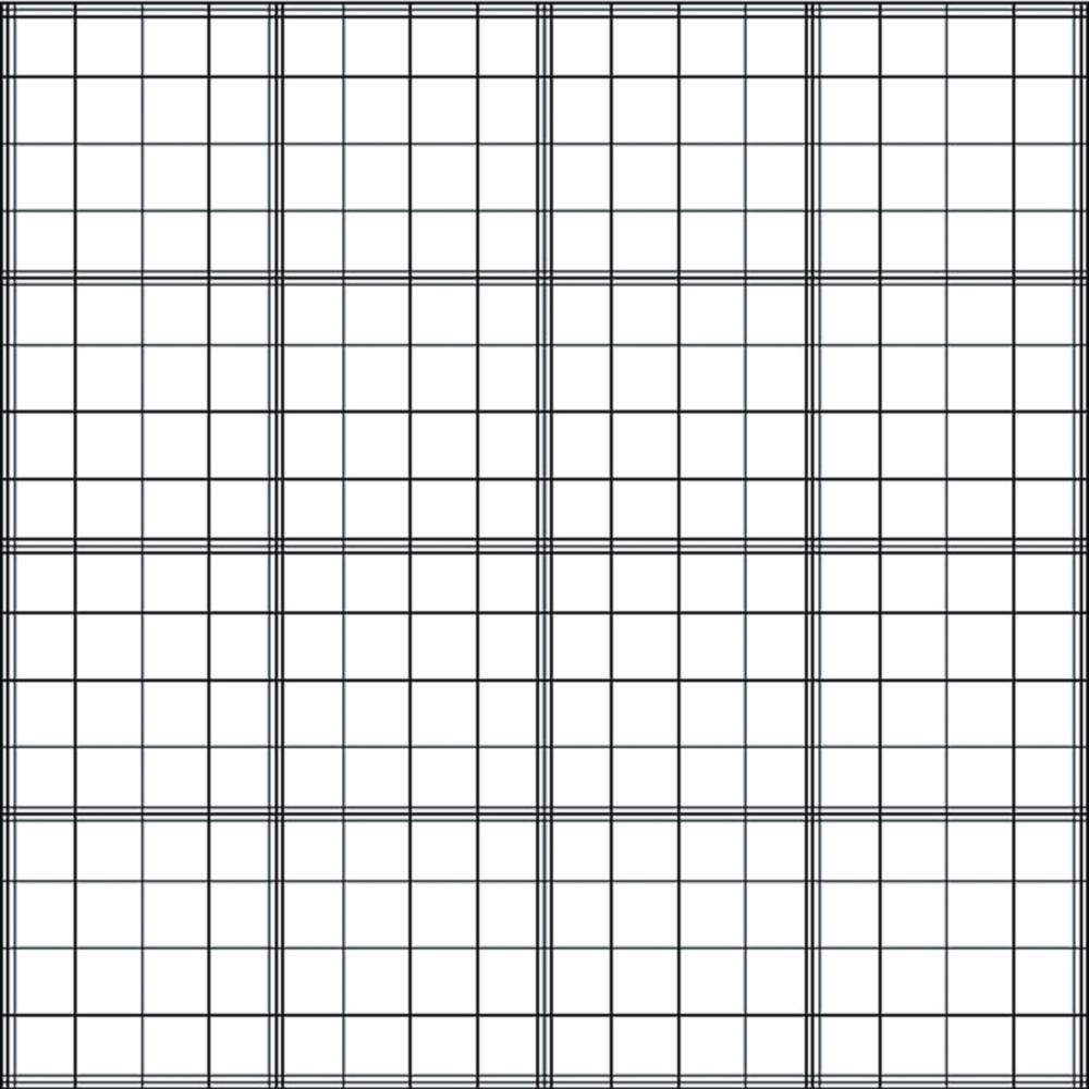 Counting Chamber, Fuchs-Rosenthal Counting Chamber, Fuchs-Rosenthal