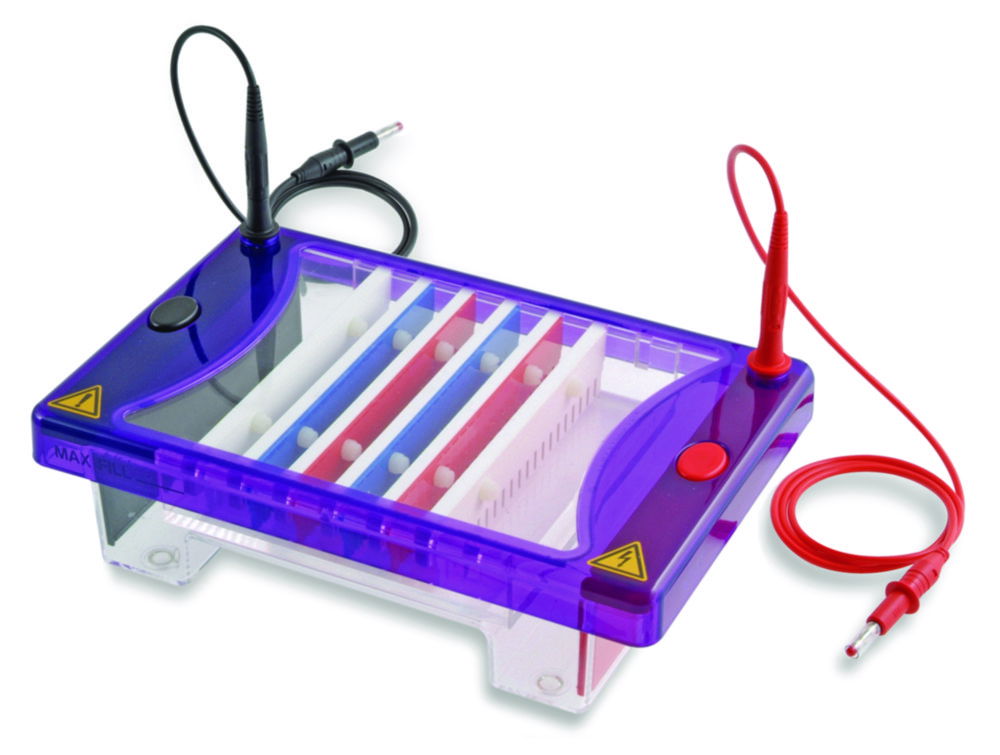 Gel electrophoresis tank MultiSUB Choice Gel electrophoresis tank MultiSUB Choice