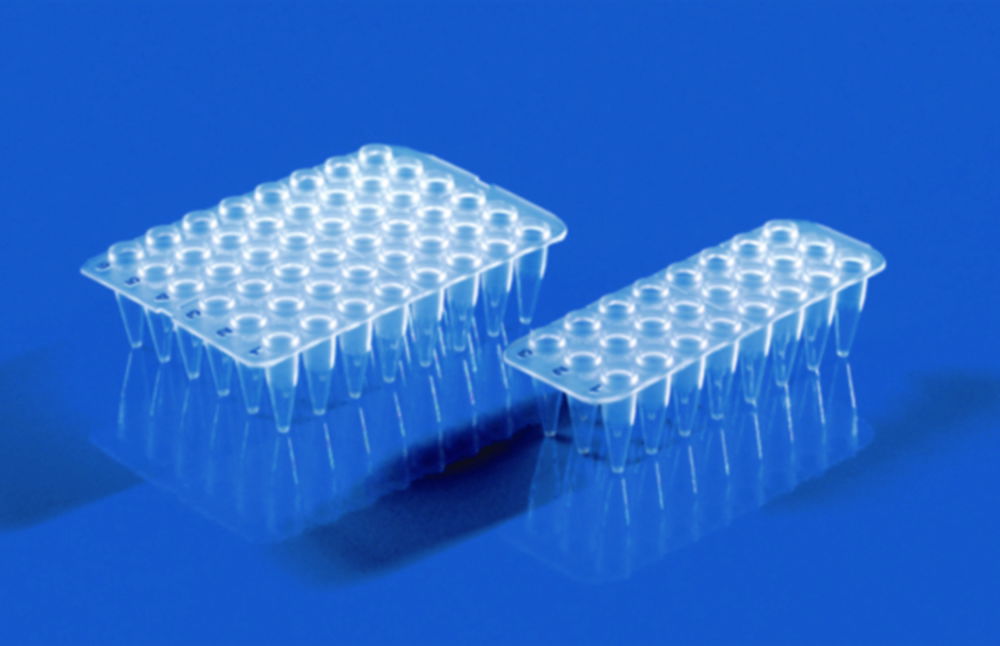 24/48-well PCR plates, non-skirted, PP 24/48-well PCR plates, non-skirted, PP