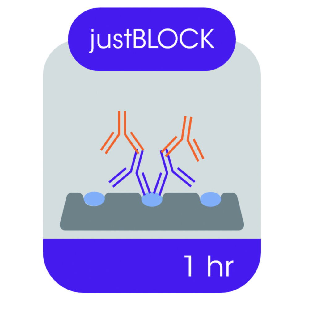 Blocking solution for Western blot Blocking solution for Western blot