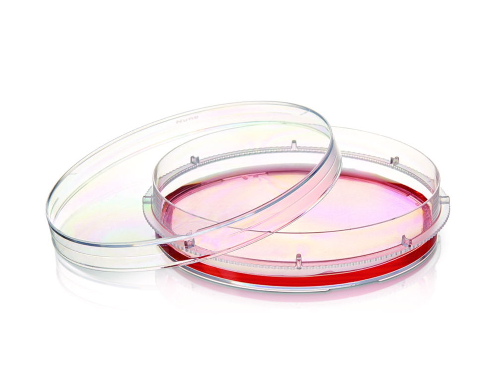 Cell culture dishes Nunc™ EasYDish™, PS, with Nunclon™ Supra surface Cell culture dishes Nunc™ EasYDish™, PS, with Nunclon™ Supra surface