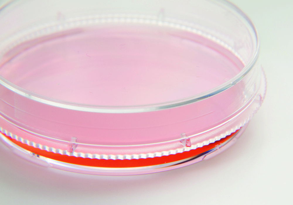 Cell and Tissue Culture Dishes, Nunc™ EasYDish™, PS, sterile Cell and Tissue Culture Dishes, Nunc™ EasYDish™, PS, sterile