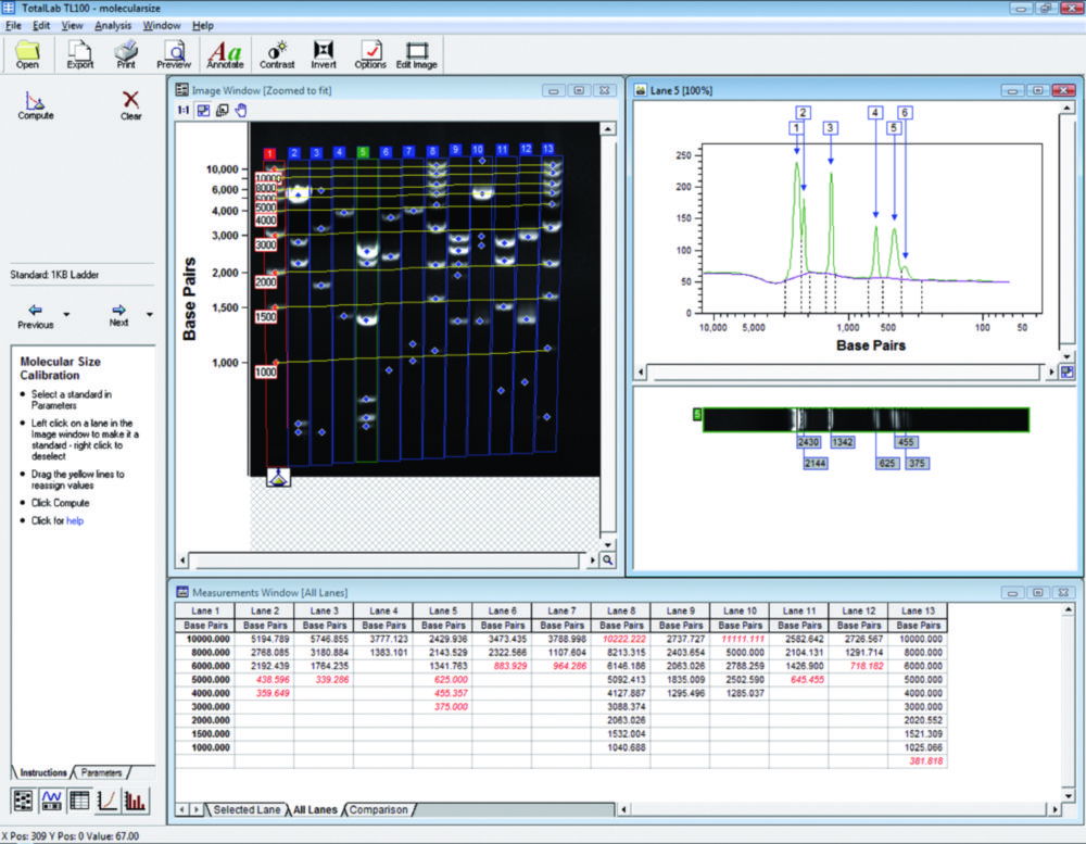 Gel documentation system microDOC with UV-Transilluminator Gel documentation system microDOC with UV-Transilluminator