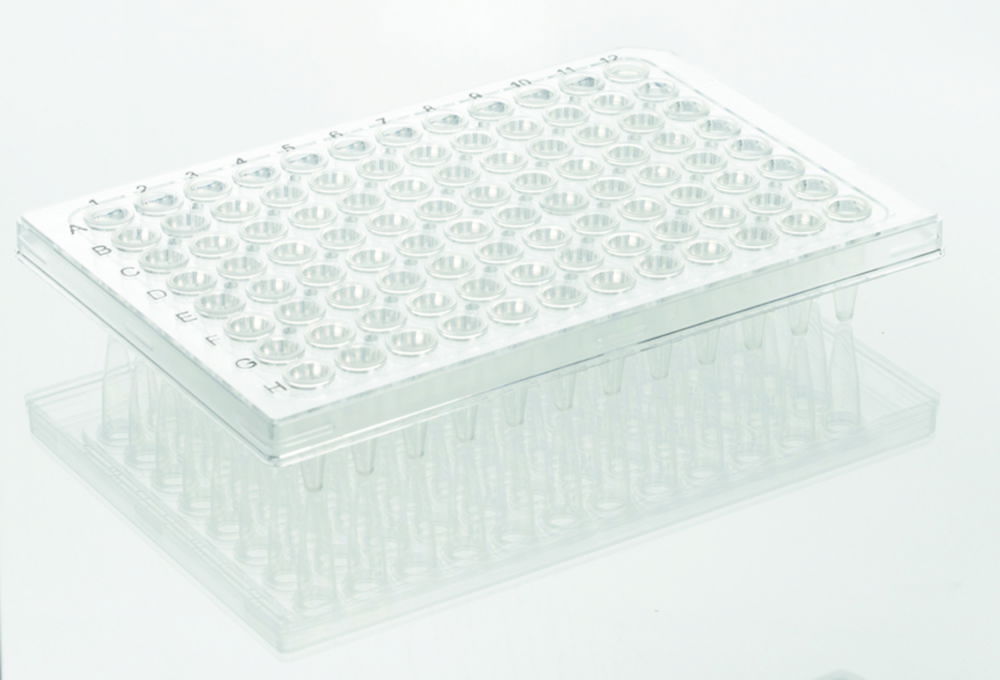 PCR Plates 96 well, Rigid Frame