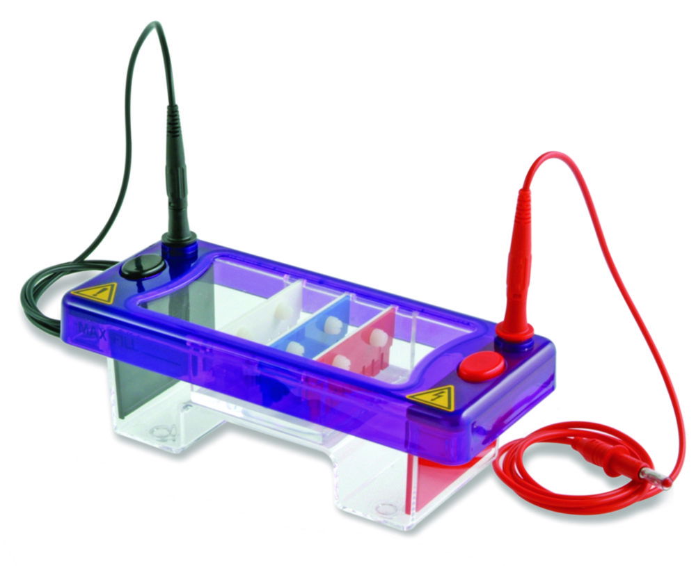 Gel electrophoresis tank MultiSUB Mini Gel electrophoresis tank MultiSUB Mini