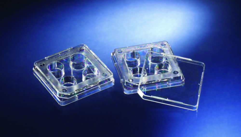 IVF 4 Well Dishes IVF 4 Well Dishes