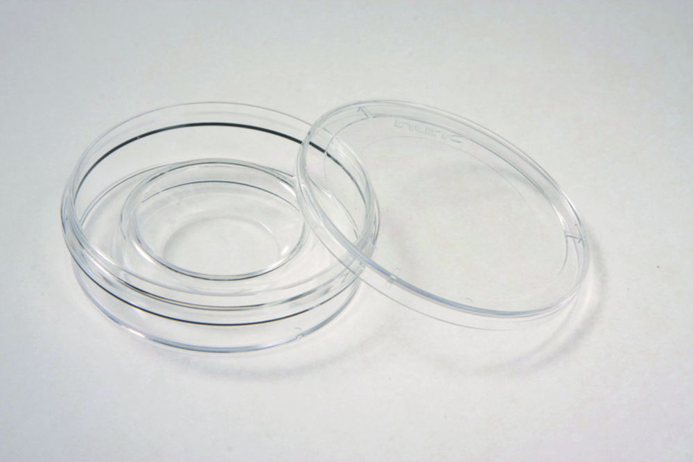 IVF center well dish IVF center well dish