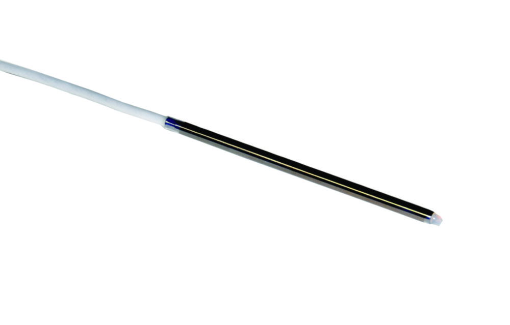 Metal sensor Pt 100 with PTFE/FEP coating for PHYSICS 100 Metal sensor Pt 100 with PTFE/FEP coating for PHYSICS 100