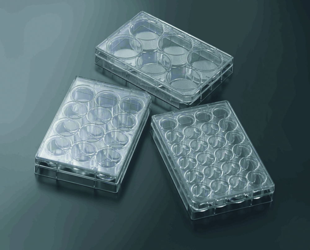 3D Cell culture plates CellSCAFLD®, treated, PS, sterile 3D Cell culture plates CellSCAFLD®, treated, PS, sterile