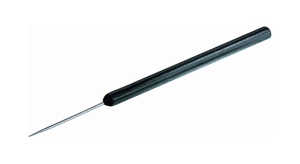 Dissecting needles Dissecting needles