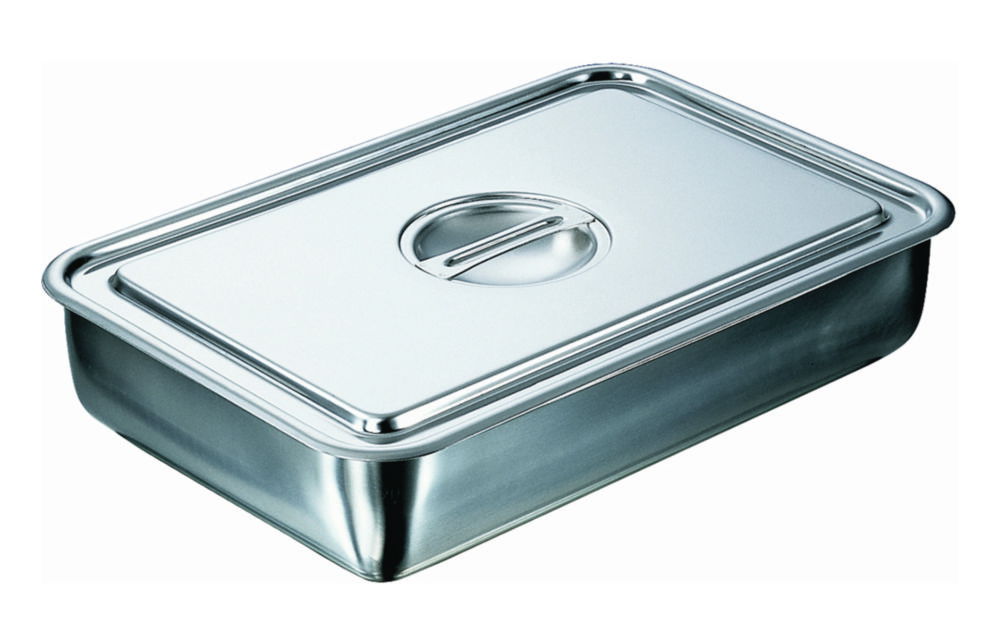 Instrument trays, Stainless steel Instrument trays, Stainless steel