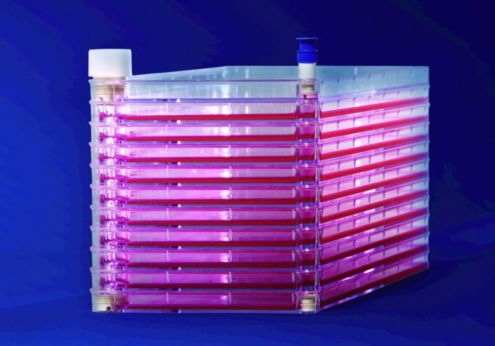 Cell Factories EasyFill™ mit Nunclon™Δ Surface, PS, sterile Cell Factories EasyFill™ mit Nunclon™Δ Surface, PS, sterile