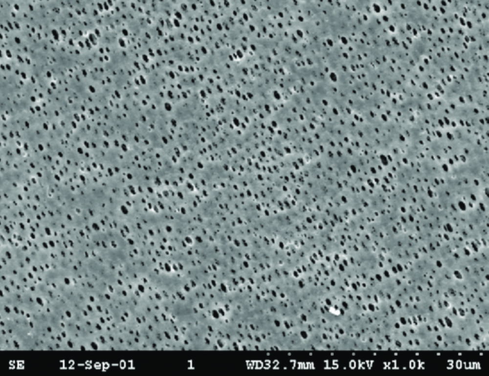 Membrane filters, Grade NL, made from pure polyamide