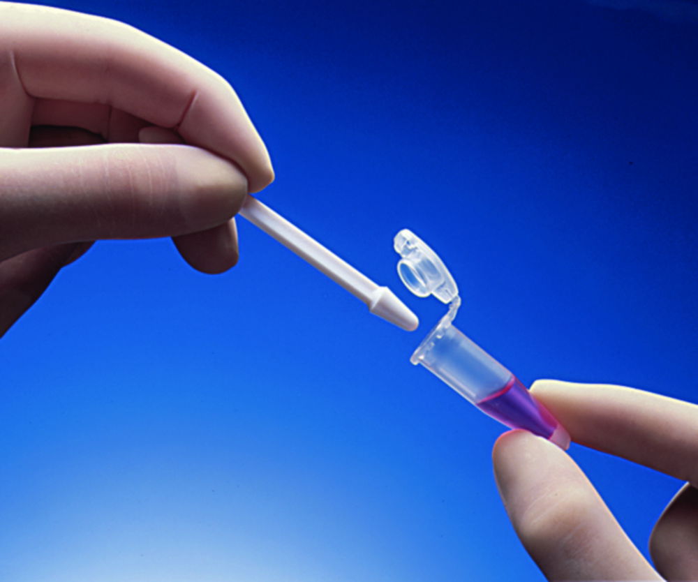 Micro-pestle Micro-pestle