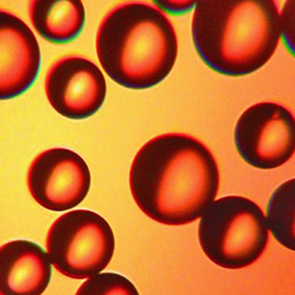 CHROMABOND® HR-XC CHROMABOND® HR-XC