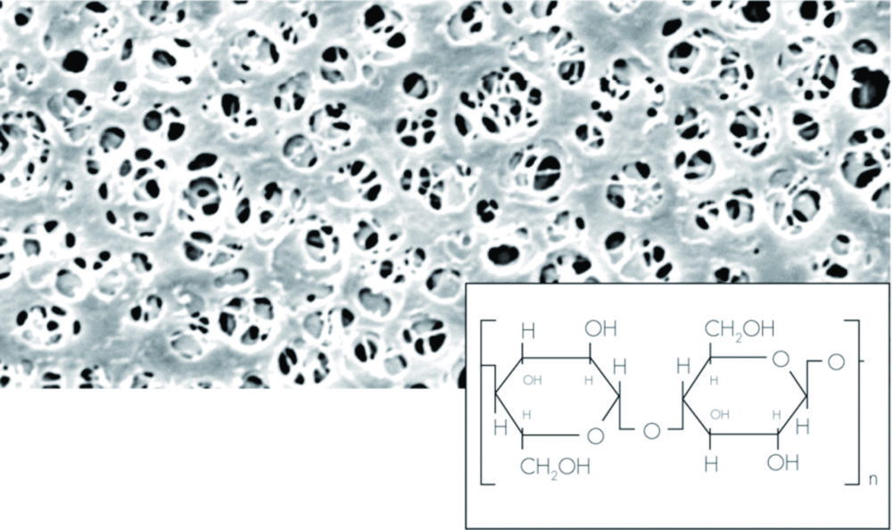 Membrane filters, regenerated cellulose