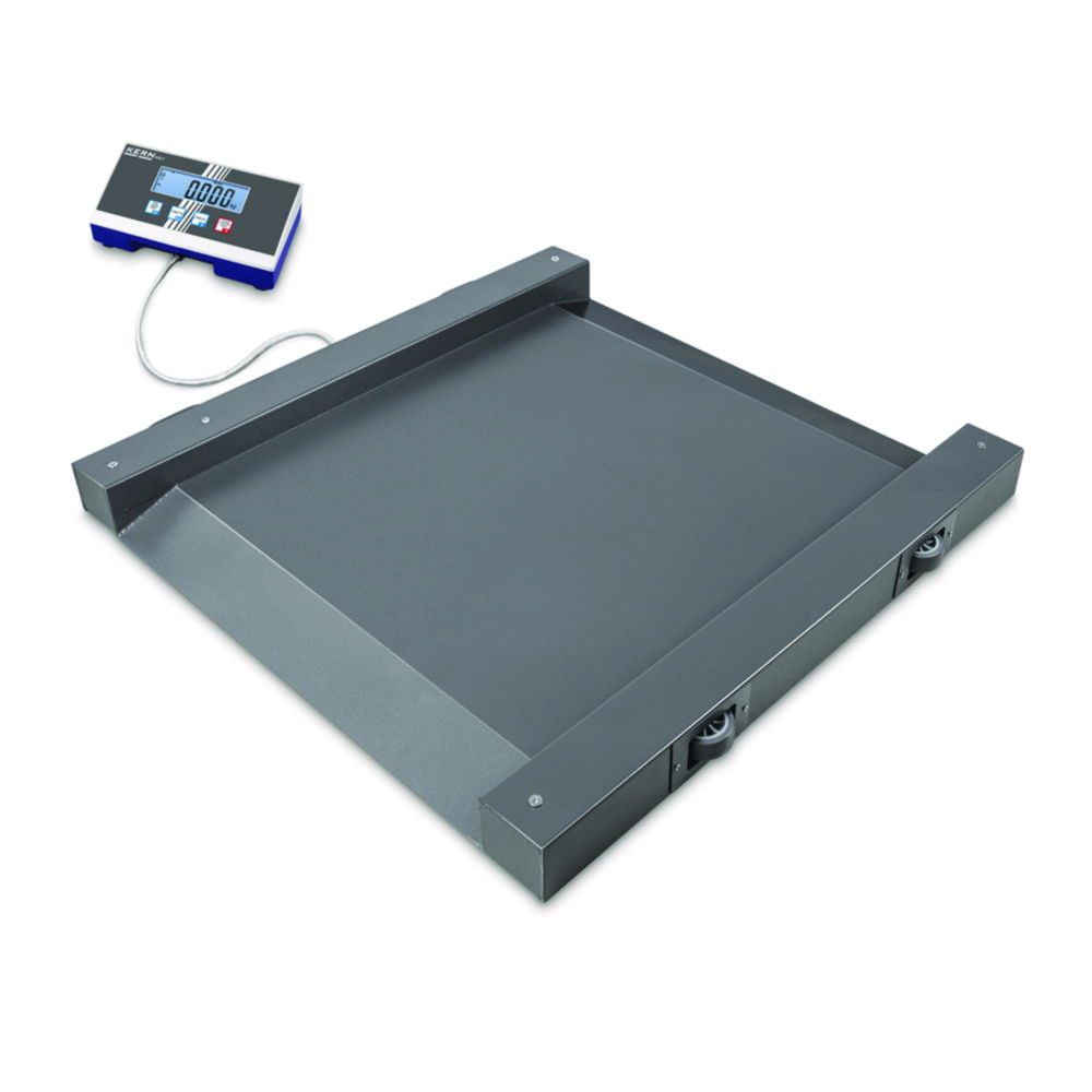 Drive-through scale NIB Drive-through scale NIB