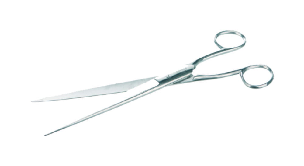 Paper scissors, stainless steel
