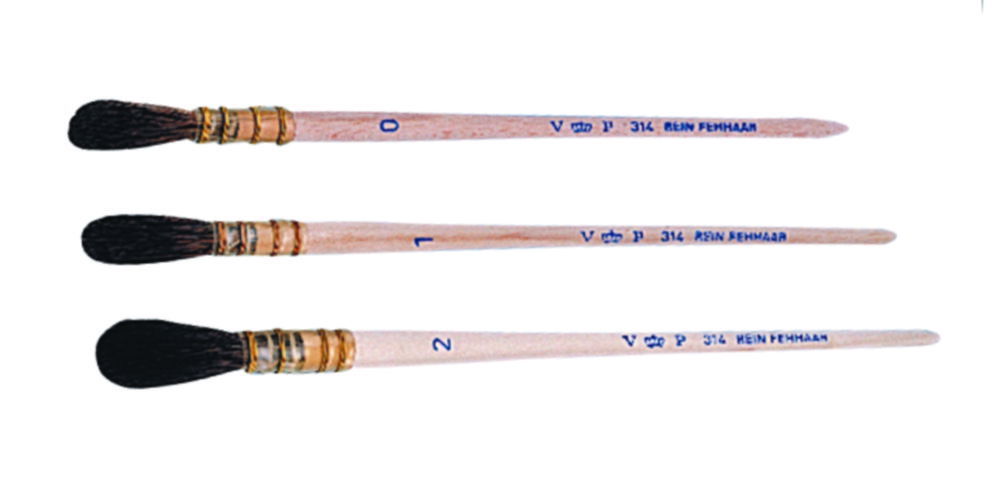 Hair brushes, oval Hair brushes, oval