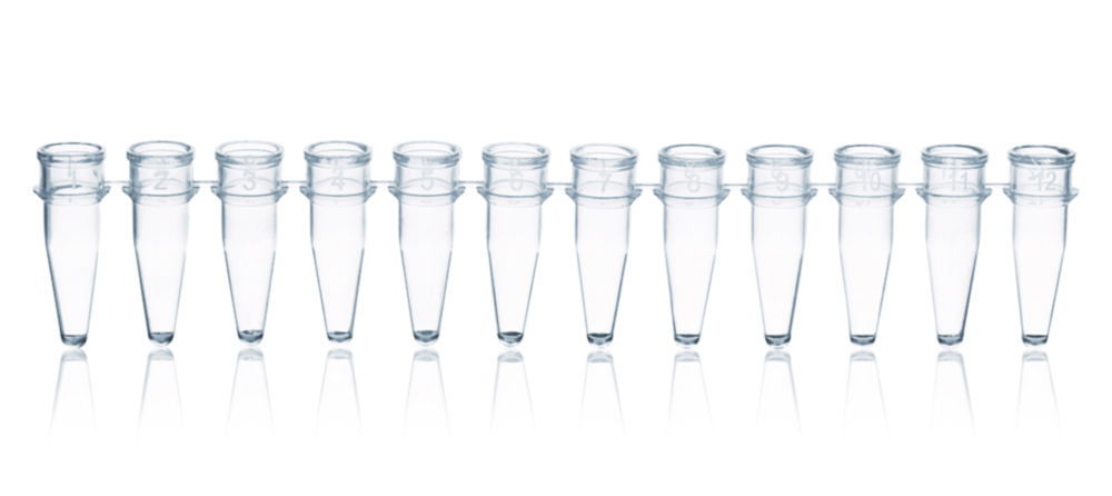 PCR tubes strips of 12, PP, without caps PCR tubes strips of 12, PP, without caps