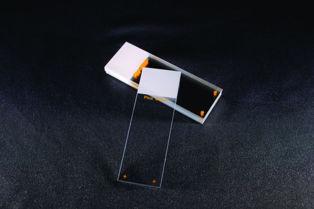 Adhesive microscope slides Superfrost® Plus Gold Adhesive microscope slides Superfrost® Plus Gold
