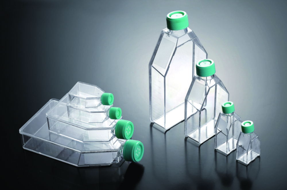 Cell culture flasks, treated, PS, sterile Cell culture flasks, treated, PS, sterile