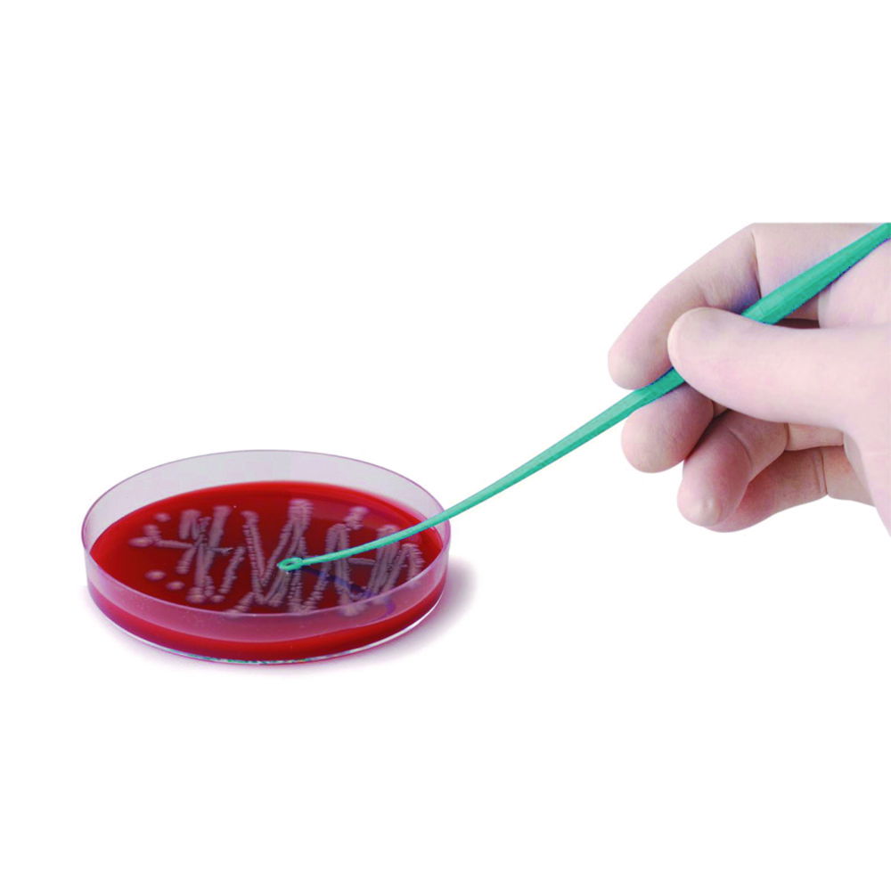 LLG-Inoculation loops, PS, double, loop/loop LLG-Inoculation loops, PS, double, loop/loop