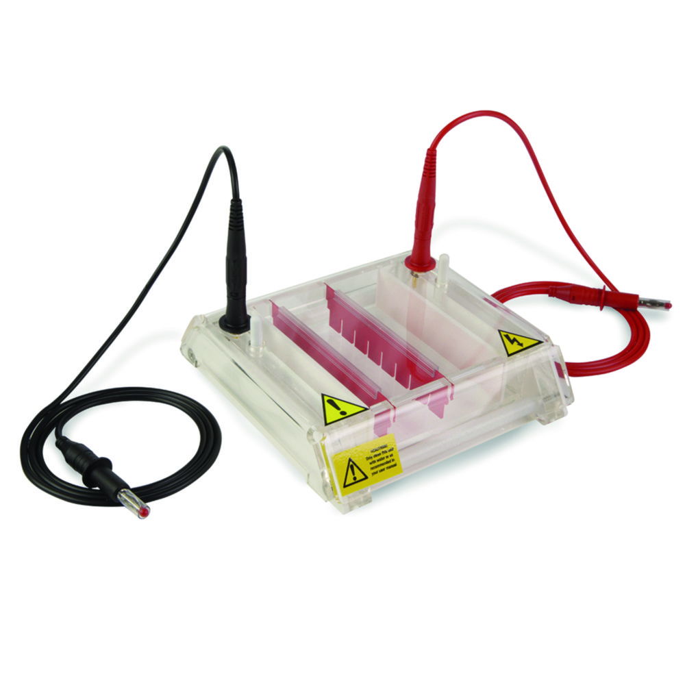 Gel electrophoresis tank MultiSUB MiniRapide Gel electrophoresis tank MultiSUB MiniRapide