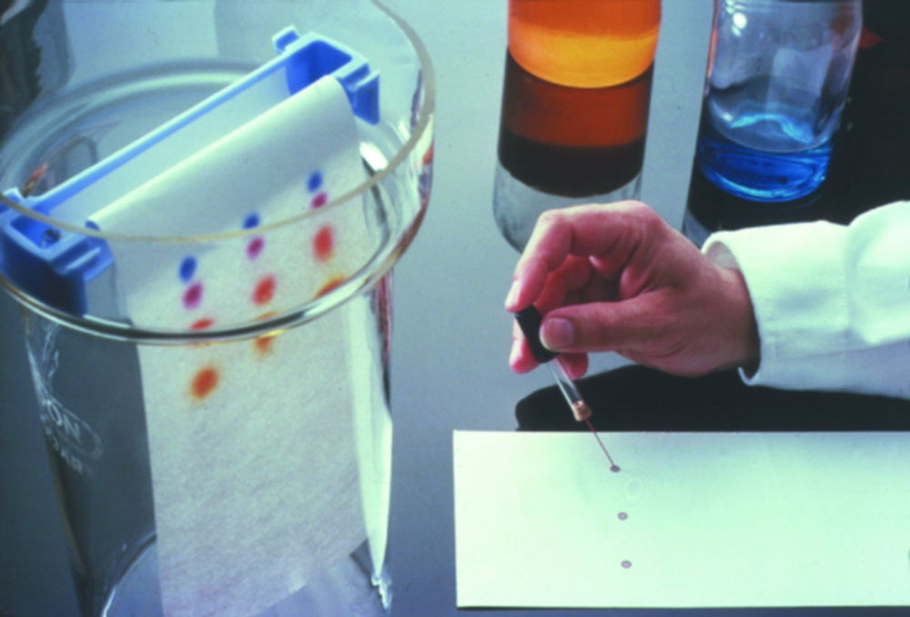 Chromatography paper / Ion exchange papers Chromatography paper / Ion exchange papers