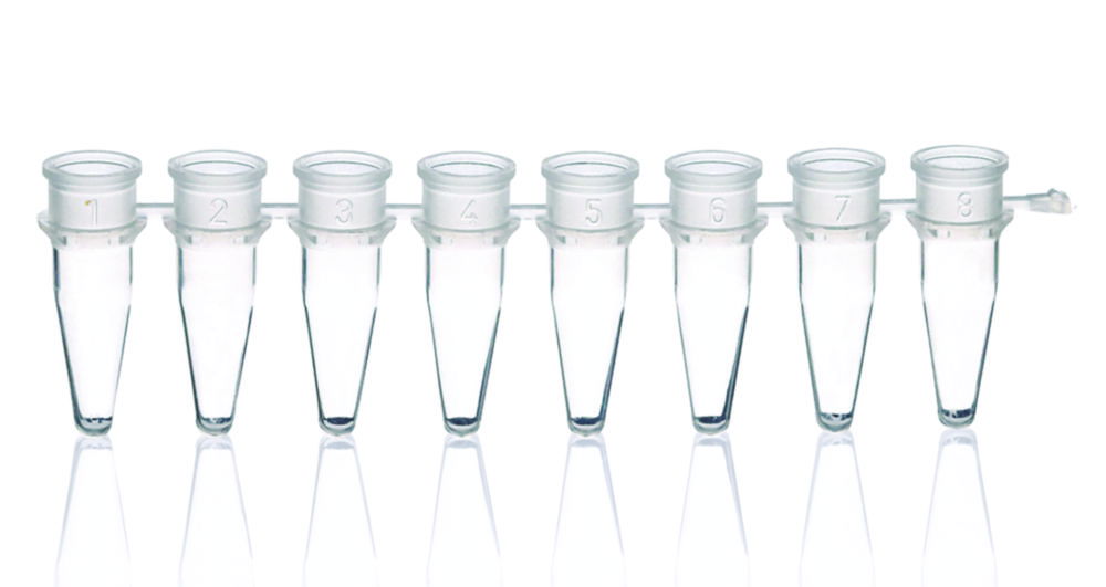PCR tubes strips of 8, PP, without caps PCR tubes strips of 8, PP, without caps