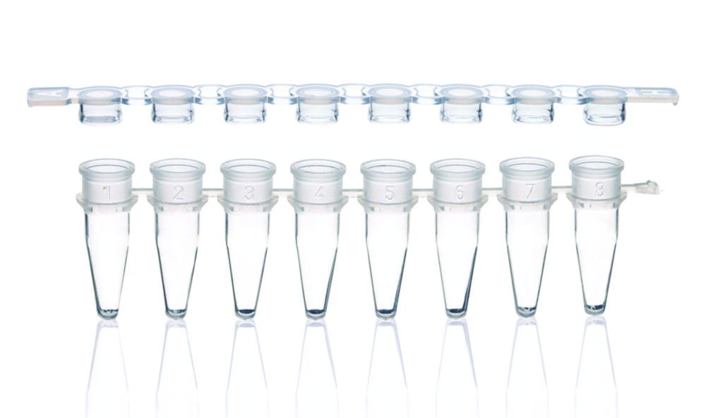 PCR tubes strips of 8, PP, with detached cap strips PCR tubes strips of 8, PP, with detached cap strips