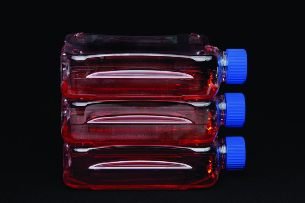 Cell culture flasks Nunc™ 300cm², treated, PS/HDPE, sterile Cell culture flasks Nunc™ 300cm², treated, PS/HDPE, sterile