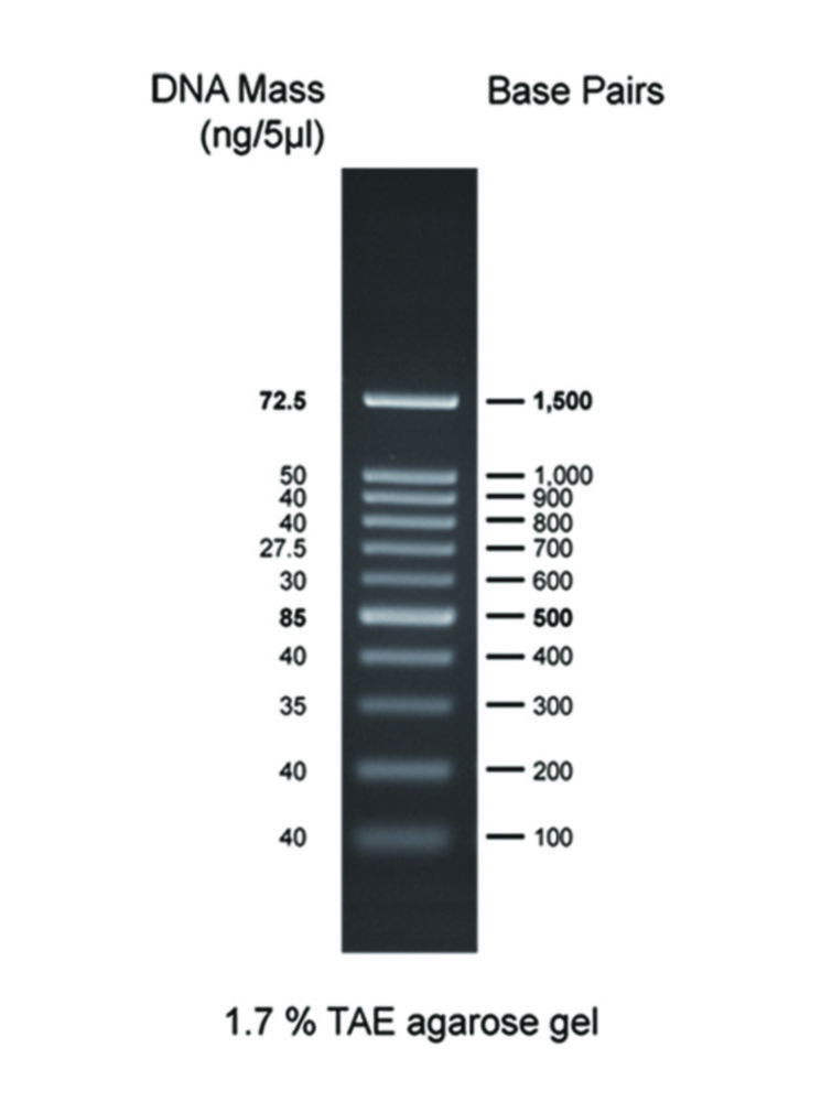 DNA Markers for Gel Electrophoresis DNA Markers for Gel Electrophoresis