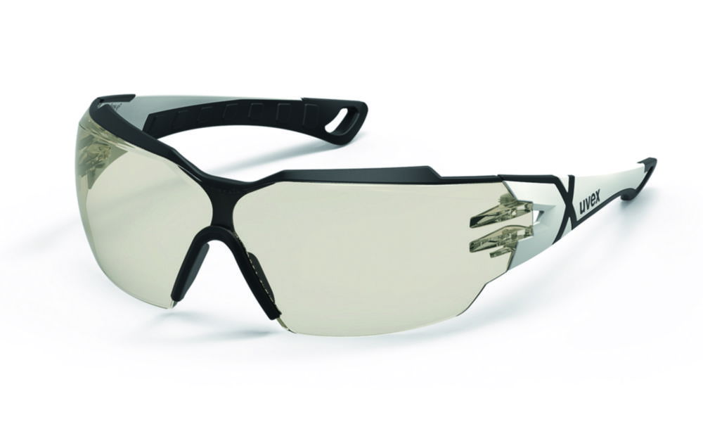 Safety Eyeshields uvex pheos cx2