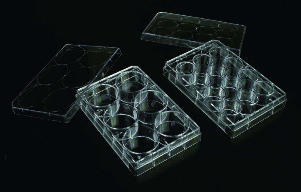 Cell Culture Plates, non-treated, PS, sterile