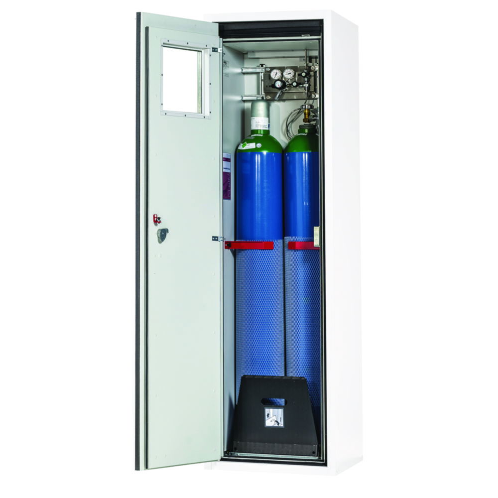 Fire Resistant Gas Cylinder Cabinets G90 Series for two 50 litre bottles with F90 glass-fronted wing door