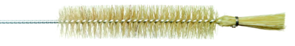 Test tube brushes with head bundle Test tube brushes with head bundle
