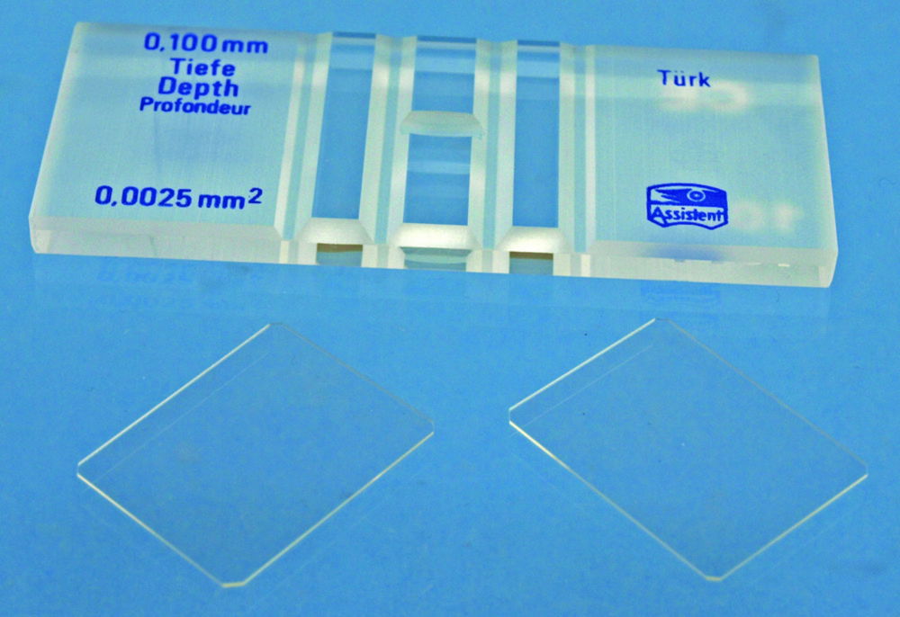 Counting Chambers according to Türk Counting Chambers according to Türk