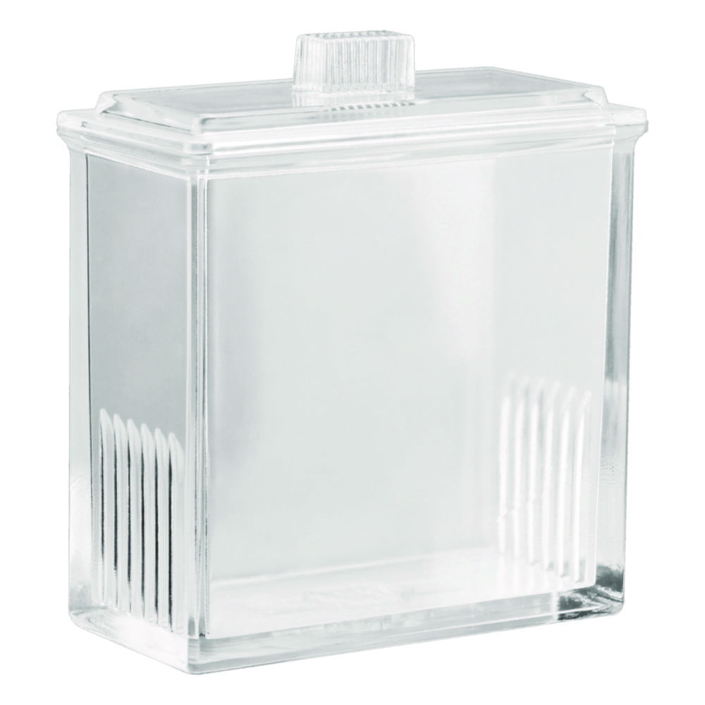 Simultaneous developing chamber