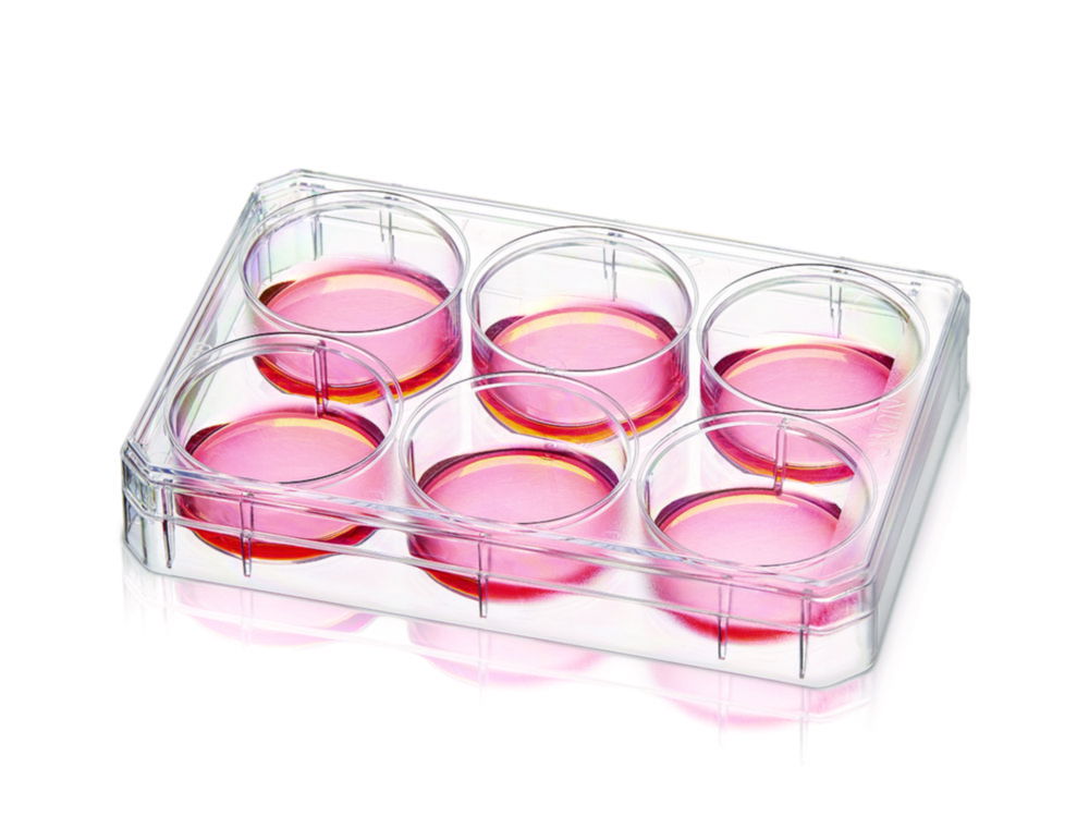 Multidishes Nunc™, PS, with Nunclon™ Supra surface Multidishes Nunc™, PS, with Nunclon™ Supra surface