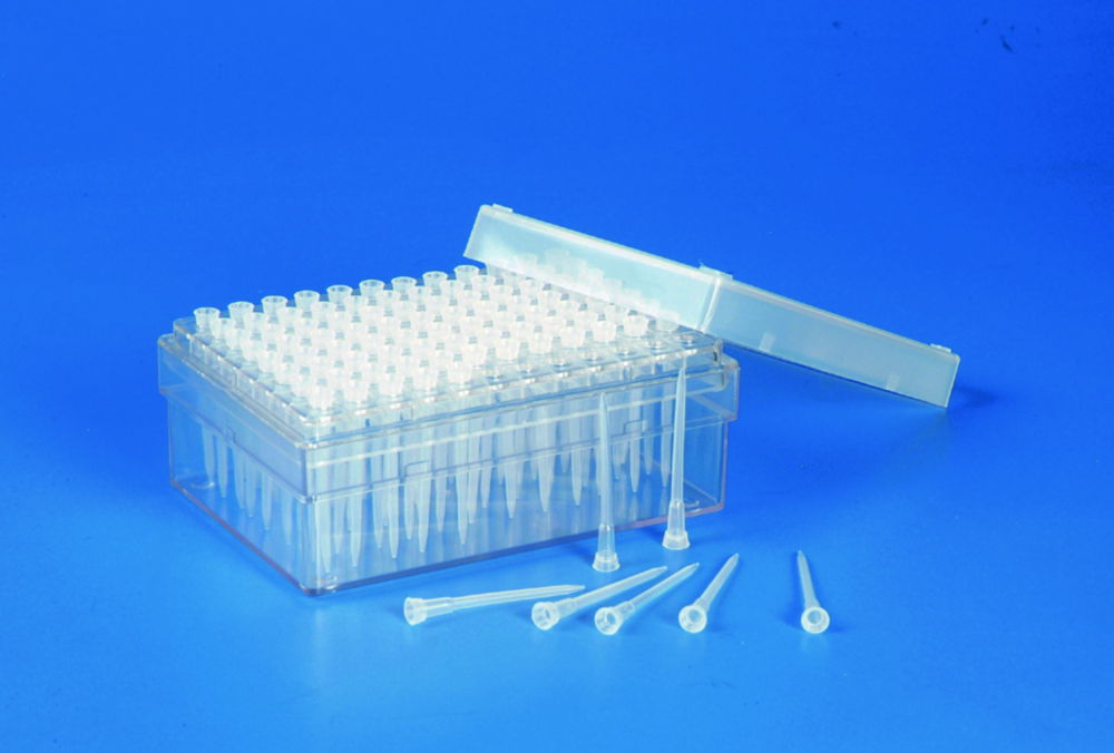 Pipette Tips, PP Pipette Tips, PP