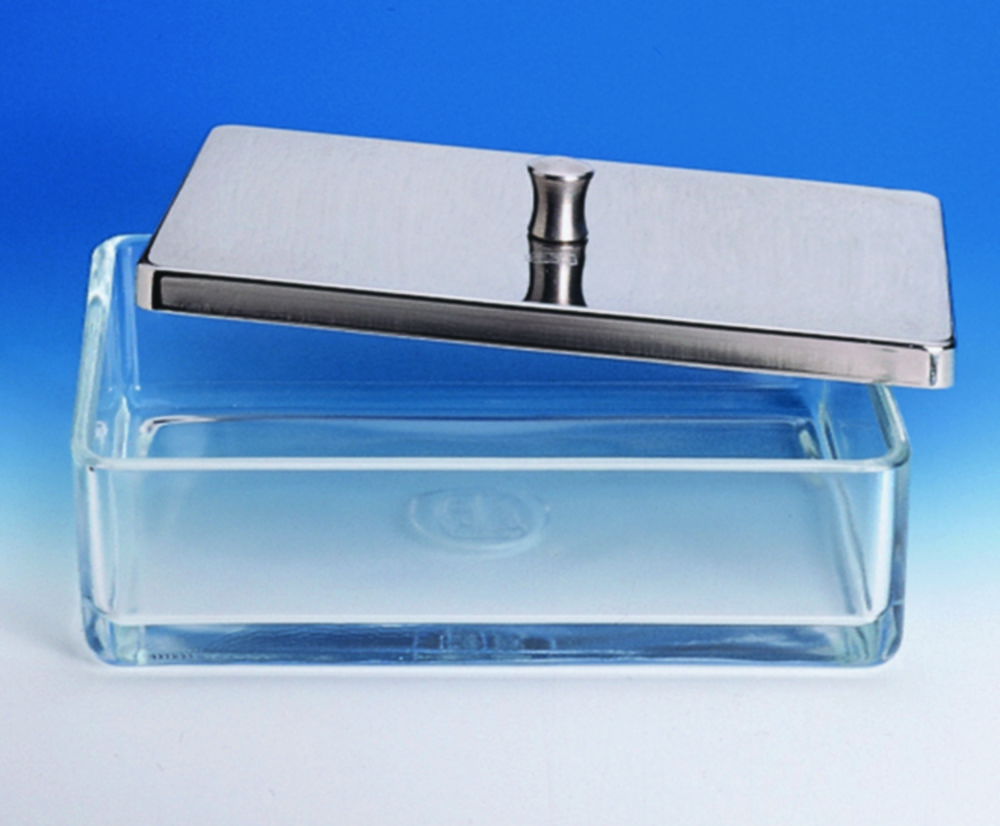 Instrument boxes, glass Instrument boxes, glass
