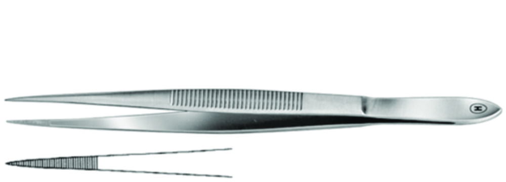 Fine dissecting forceps Fine dissecting forceps