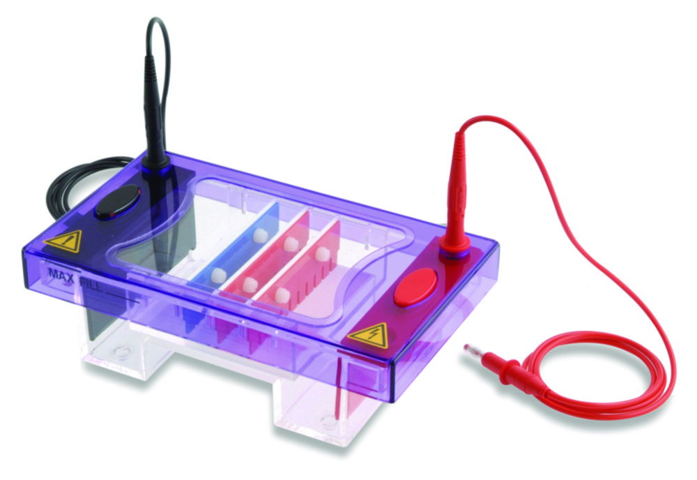 Gel electrophoresis tank MultiSUB Midi Gel electrophoresis tank MultiSUB Midi