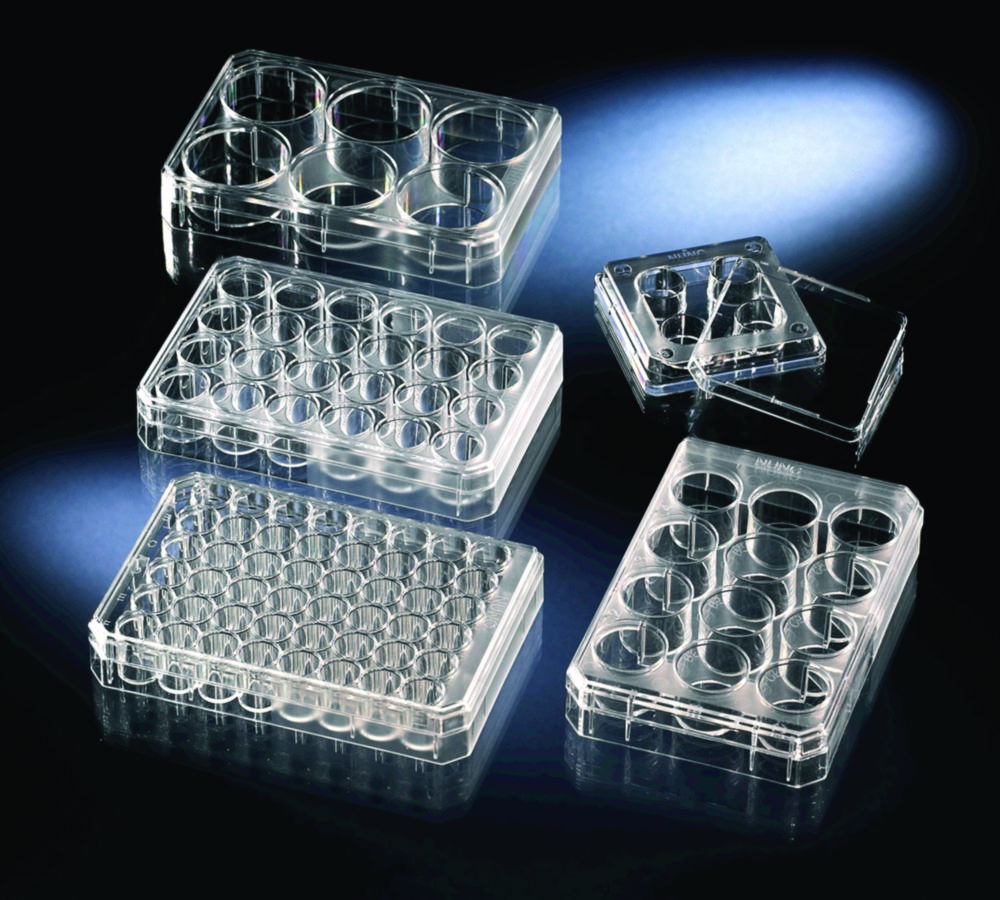 Multidishes, non-treated, PS, sterile