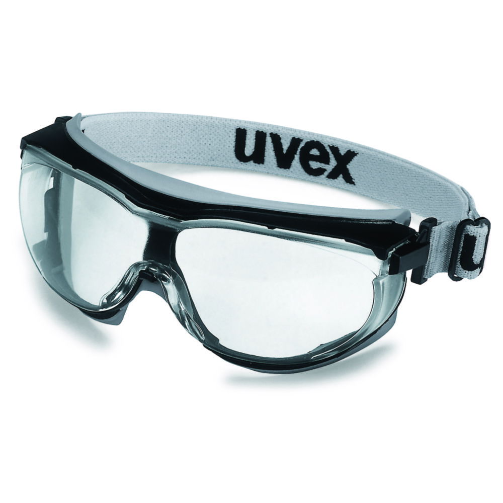 Panoramic Eyeshield uvex carbonvision 9307 Panoramic Eyeshield uvex carbonvision 9307