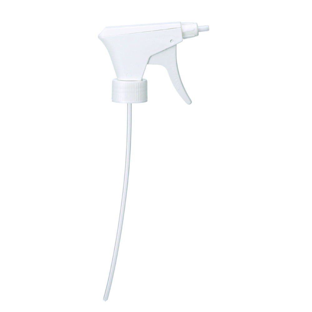 Spray head universal